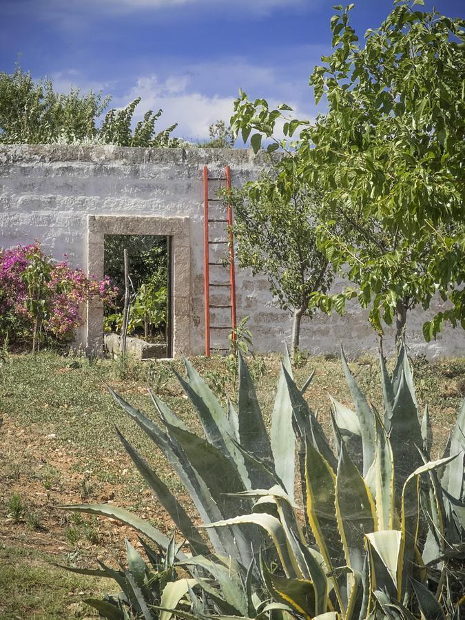 Masseria Palombara Grande Ostuni Dış mekan fotoğraf