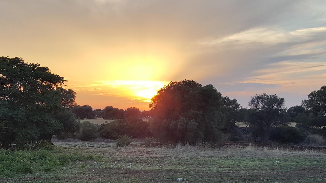 Masseria Palombara Grande Ostuni Dış mekan fotoğraf