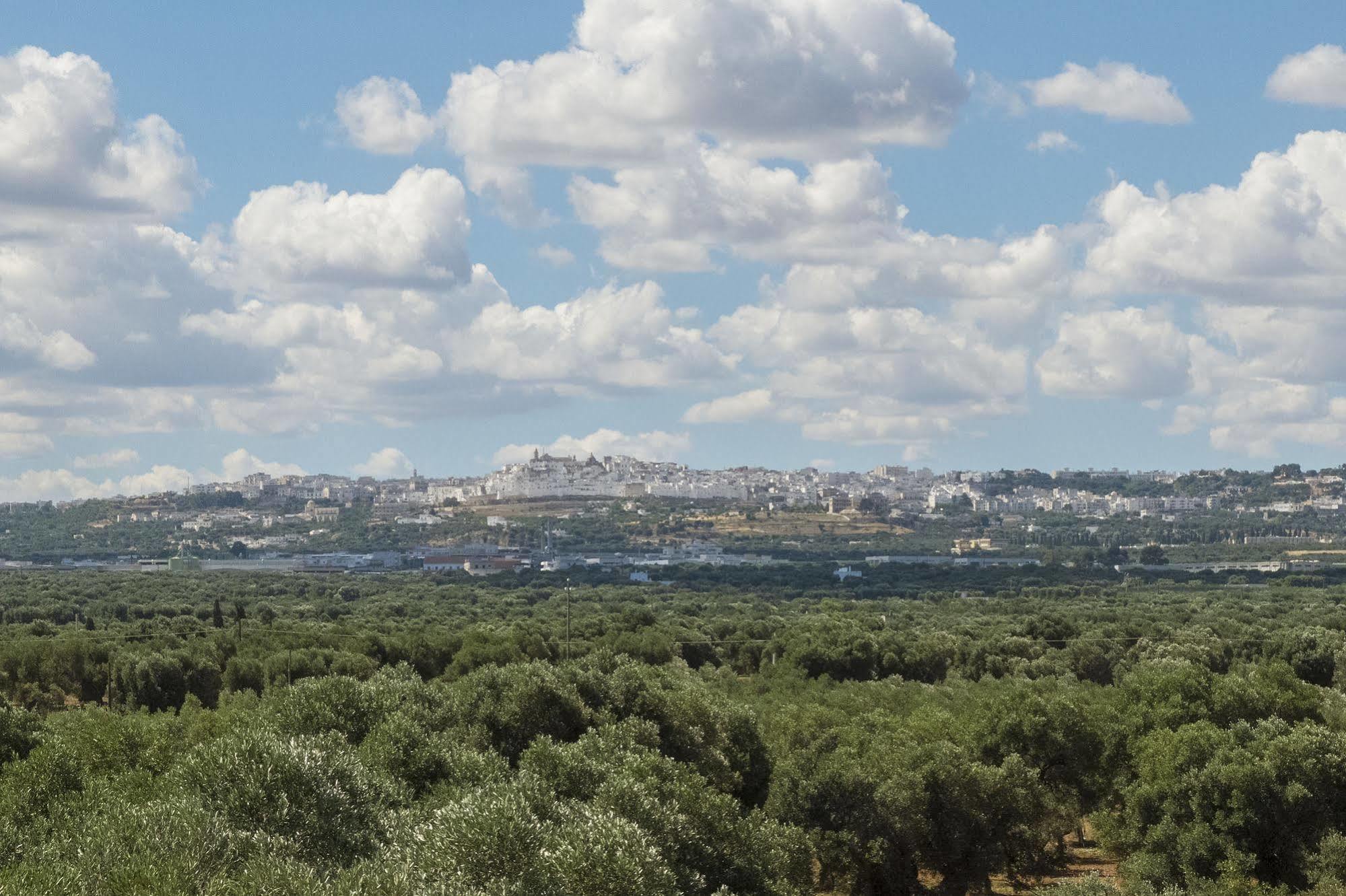 Masseria Palombara Grande Ostuni Dış mekan fotoğraf