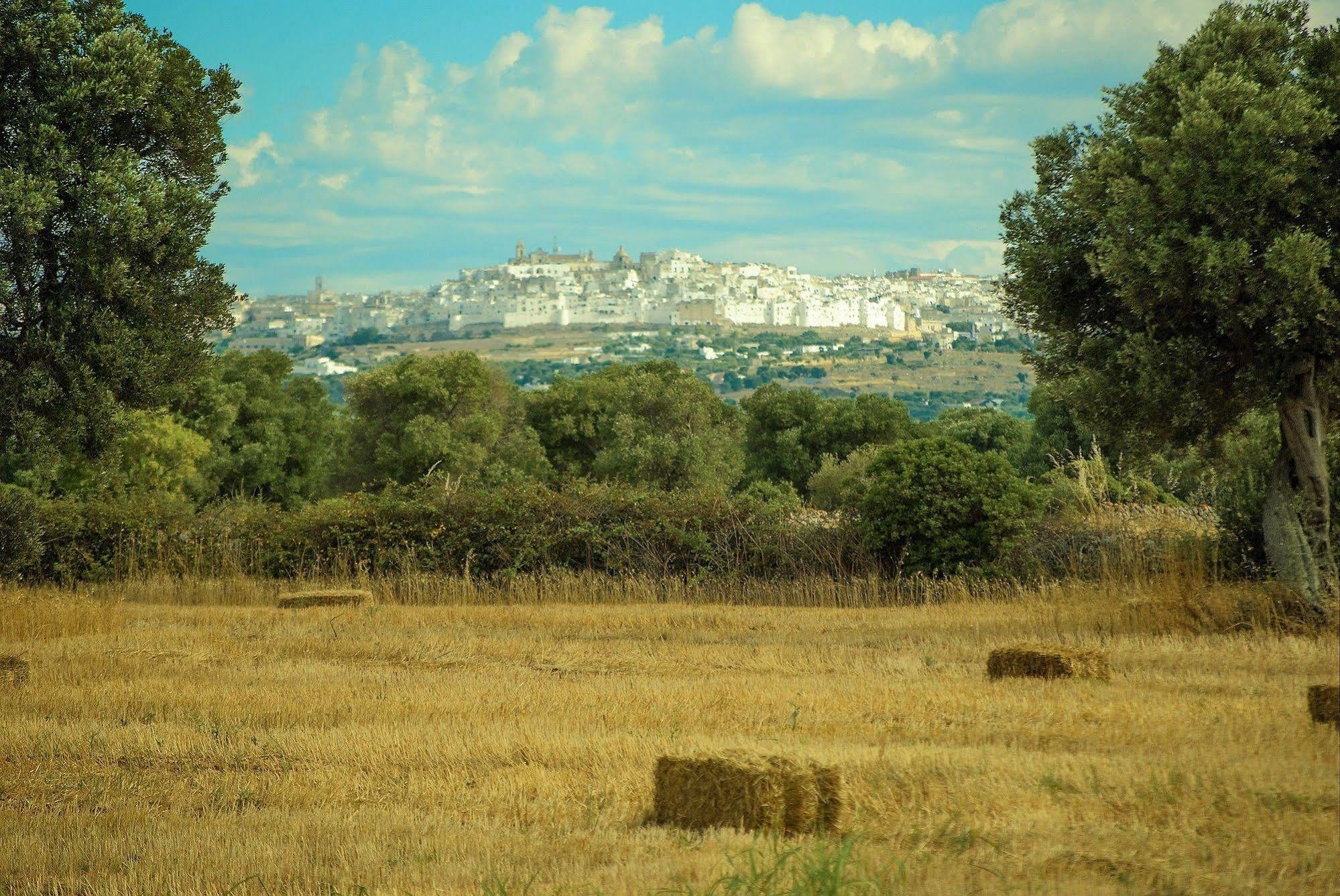 Masseria Palombara Grande Ostuni Dış mekan fotoğraf